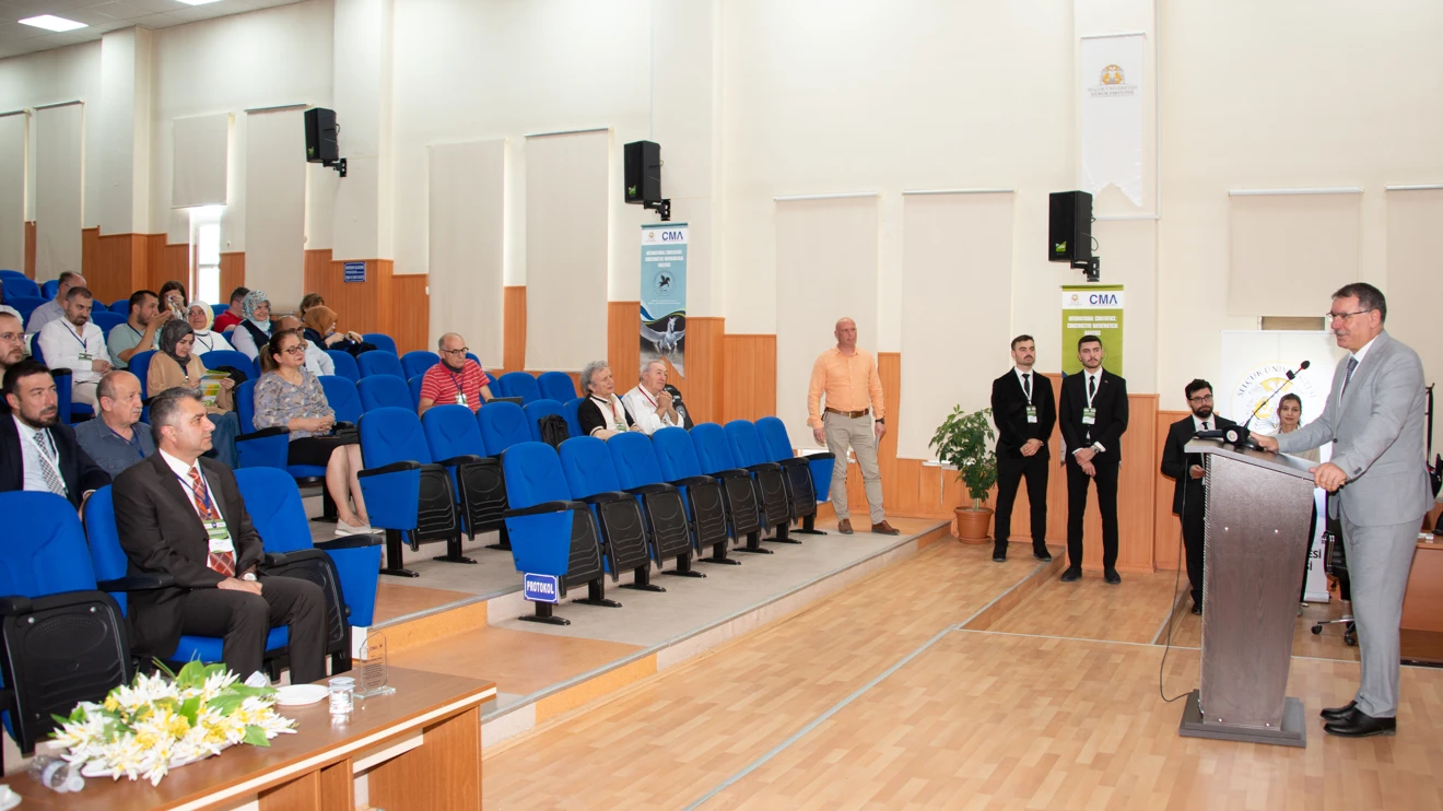 Matematiksel analiz çalışmaları, uluslararası ölçekte tartışılacak